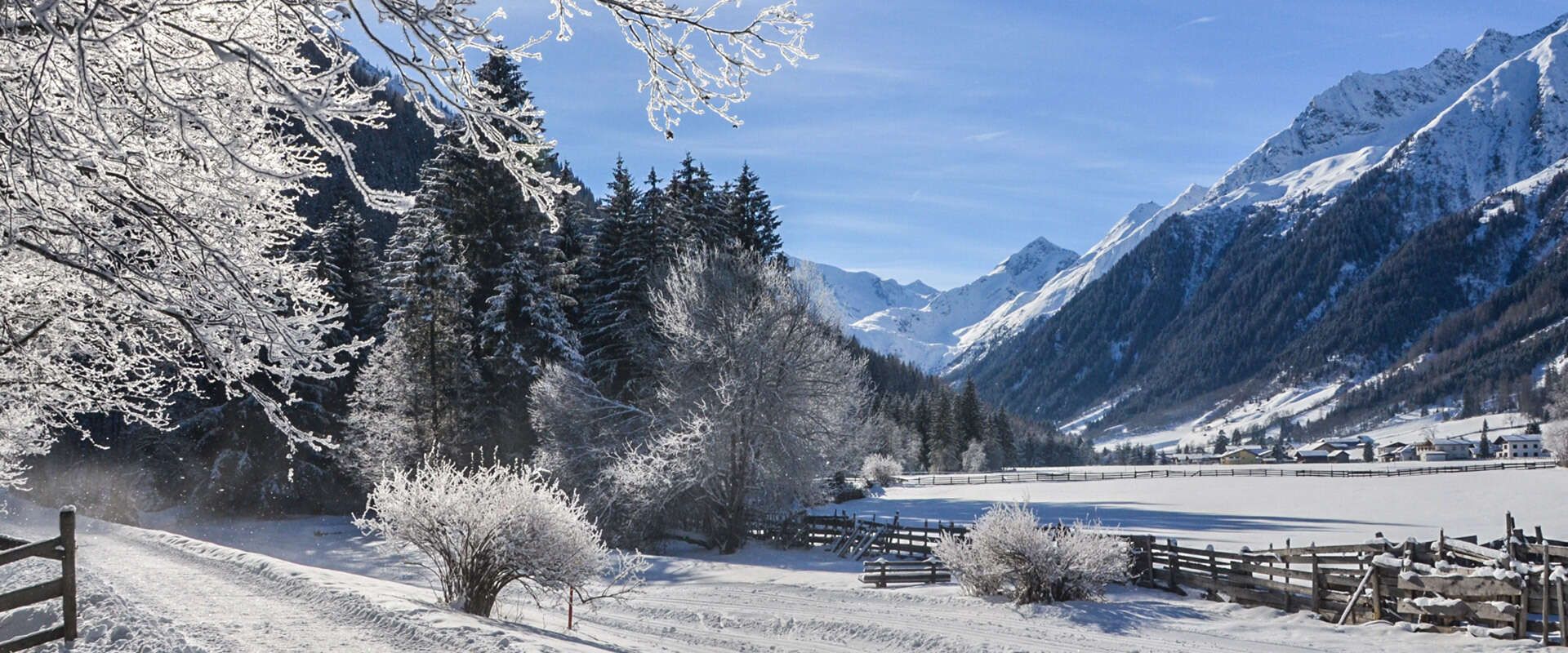 Langlaufloipe in Gschnitz in Tirol