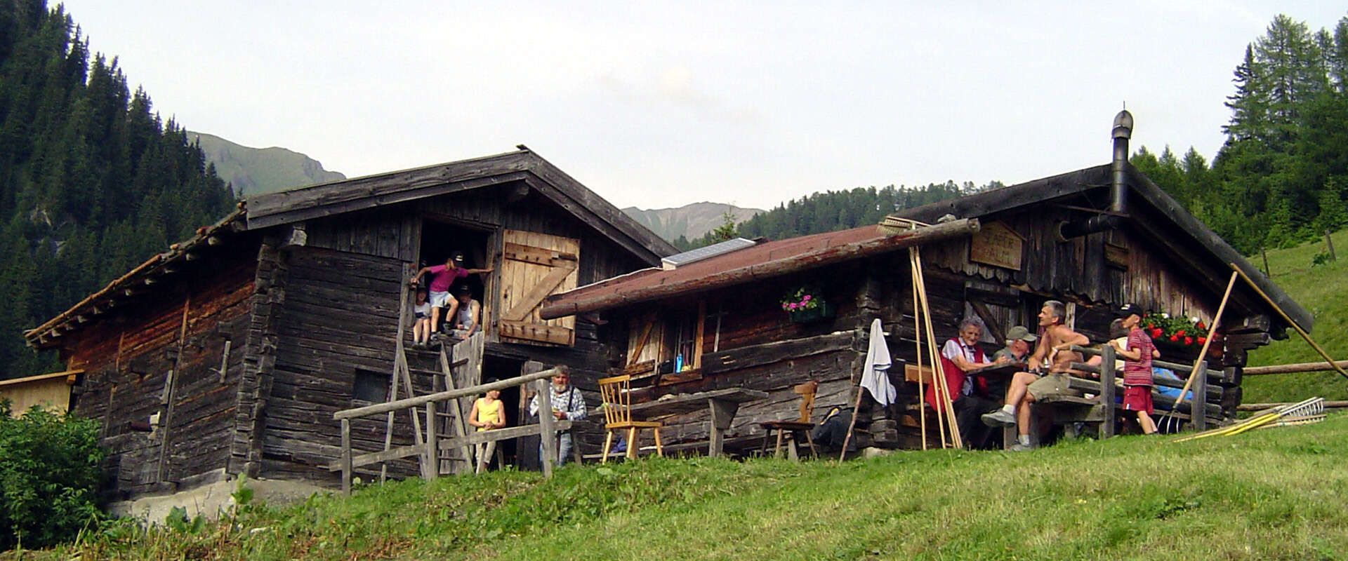 Seaper Alm im Wipptal Tirol